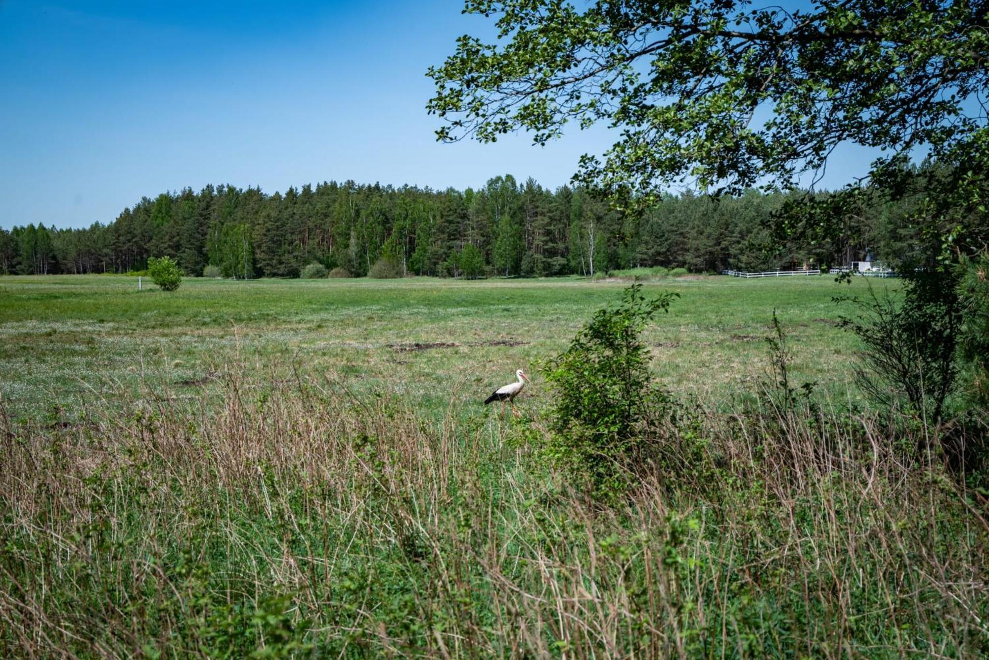 Swietajno  Zurawia Polanaヴィラ エクステリア 写真
